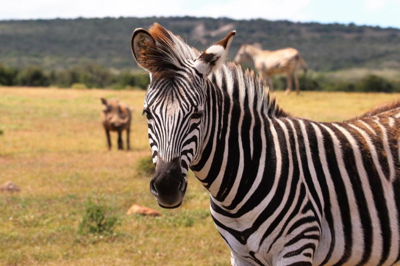 Zambeze Praia Grande (Santos)